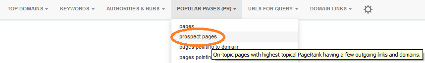 prospect pages